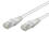 Champion Patchkabel CAT5e UTP 3,0m