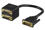 Champion DVI Adapter 1st->2st 0,1m