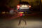 Joby Gorillatorch Flare - bild 9